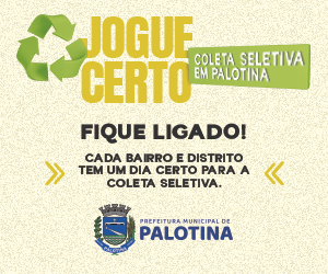 Banner 65 anos Palotina