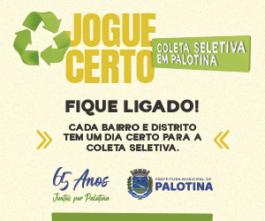 Banner 65 anos Palotina