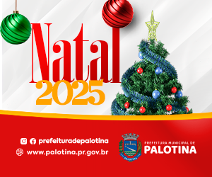 Banner 65 anos Palotina