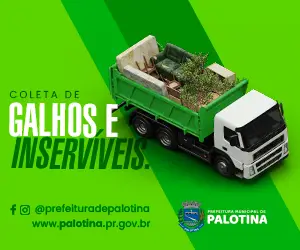 Coleta de Galhos
