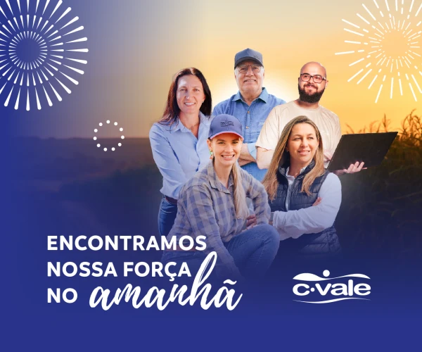 Publicidade C.Vale