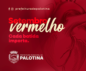 Coleta de Galhos
